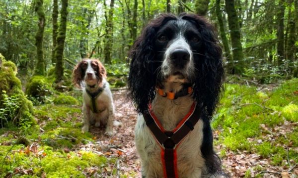 Eddy looking cute with Leo in the background